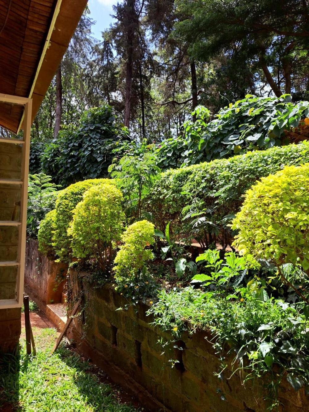 Rosslyn Studios Nairobi Exterior foto